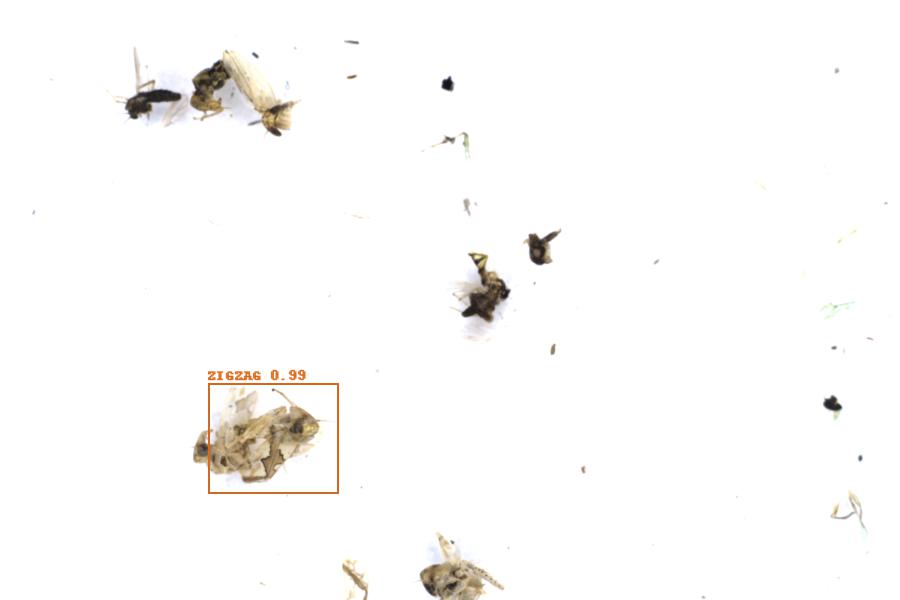 Image 31